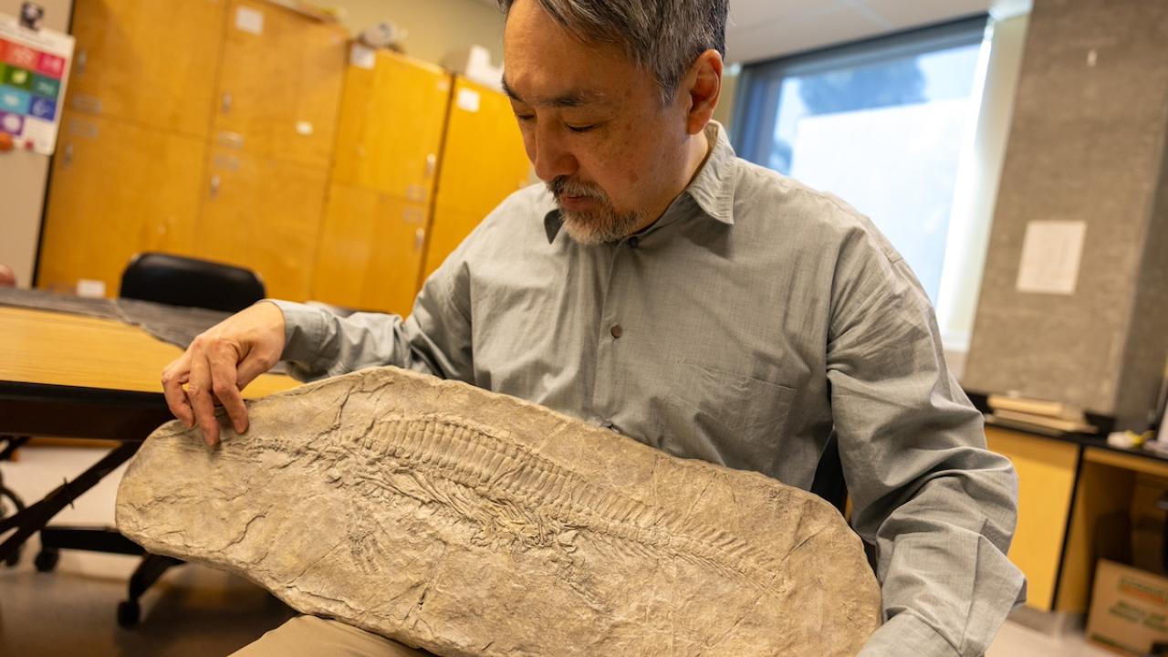 Ryosuke Motani sits in a lab while showcasing a resin model of an ichthyosaur skeleton. 